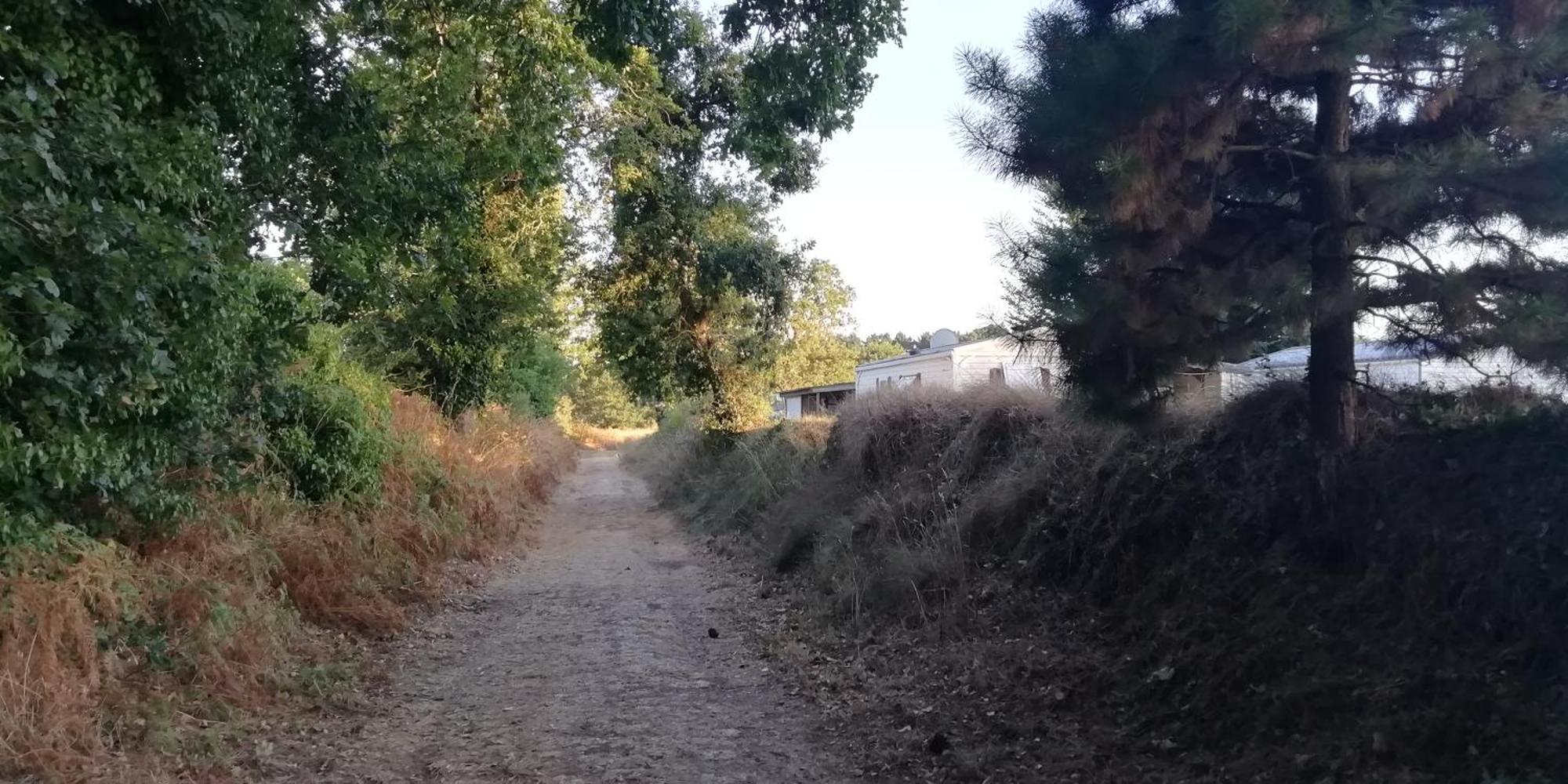 Camping Des Pierres Debout Névez Exterior foto